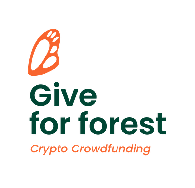 Give 4 forest branding design graphic design logo ui