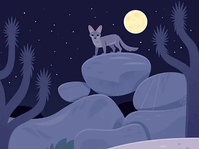 Desert Kit Fox animals california childrens book desert design fox illustration joshua tree kidlitart national park national parks nature night nocturnal vector wildlife