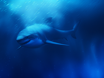Blue shark 🦈 blue brand design ecosystem fish hunters icon marine reinspire sea sealife sharks species system teeth water