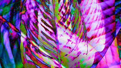 Botanical, colorful leafs pattern texture 3d animation botanic botanical branding color palette green leaf logo motion graphics nature plant plants platanas social media marketing