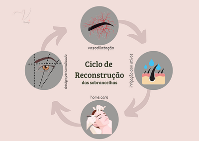 Ciclo de reconstrução das sobranselhas. design de sobrancelha graphic design home care mapa mental vasodilatação