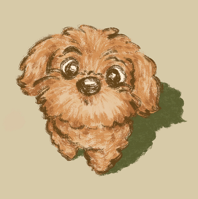 Toy poodle looking up animal character cute dog illustration kawaii pet puppy