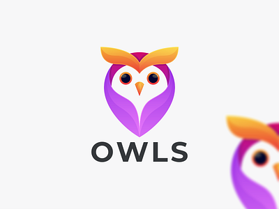OWLS branding design graphic design icon logo owl coloring owl design graphic owl logo owls logo