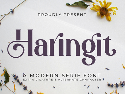 Haringit - A Modern Serif Font style