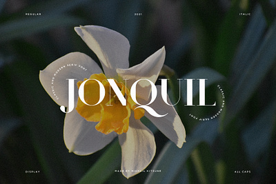 Jonquil - Classic & Modern Serif brand branding classic elegant flower font jonquil logo logotype modern sans serif stylish type type design typeface typography unique