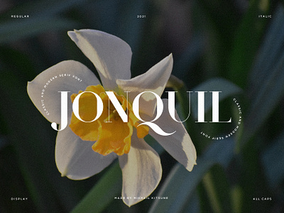 Jonquil - Classic & Modern Serif brand branding classic elegant flower font jonquil logo logotype modern sans serif stylish type type design typeface typography unique