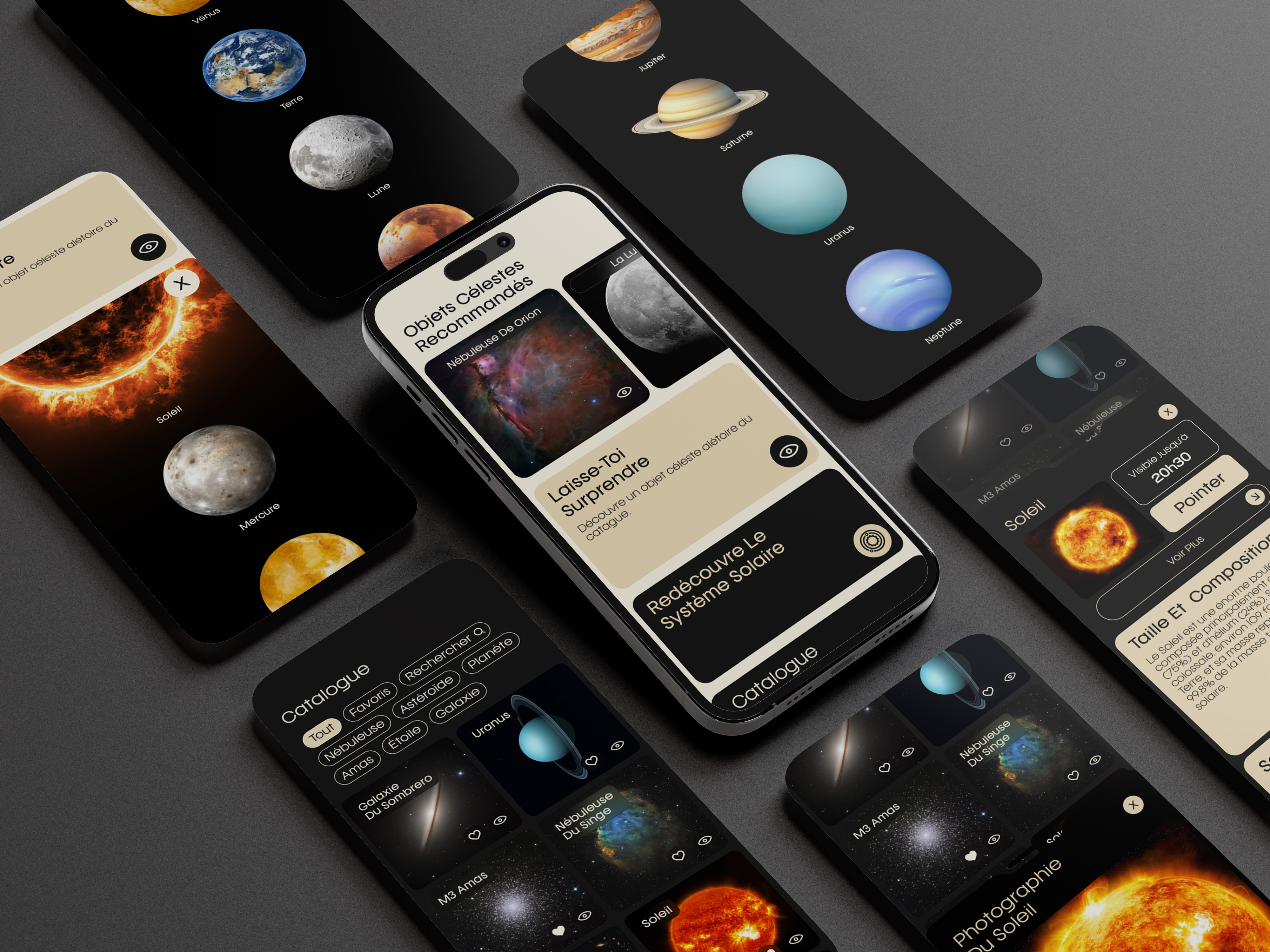 Example of Web Design & App Design