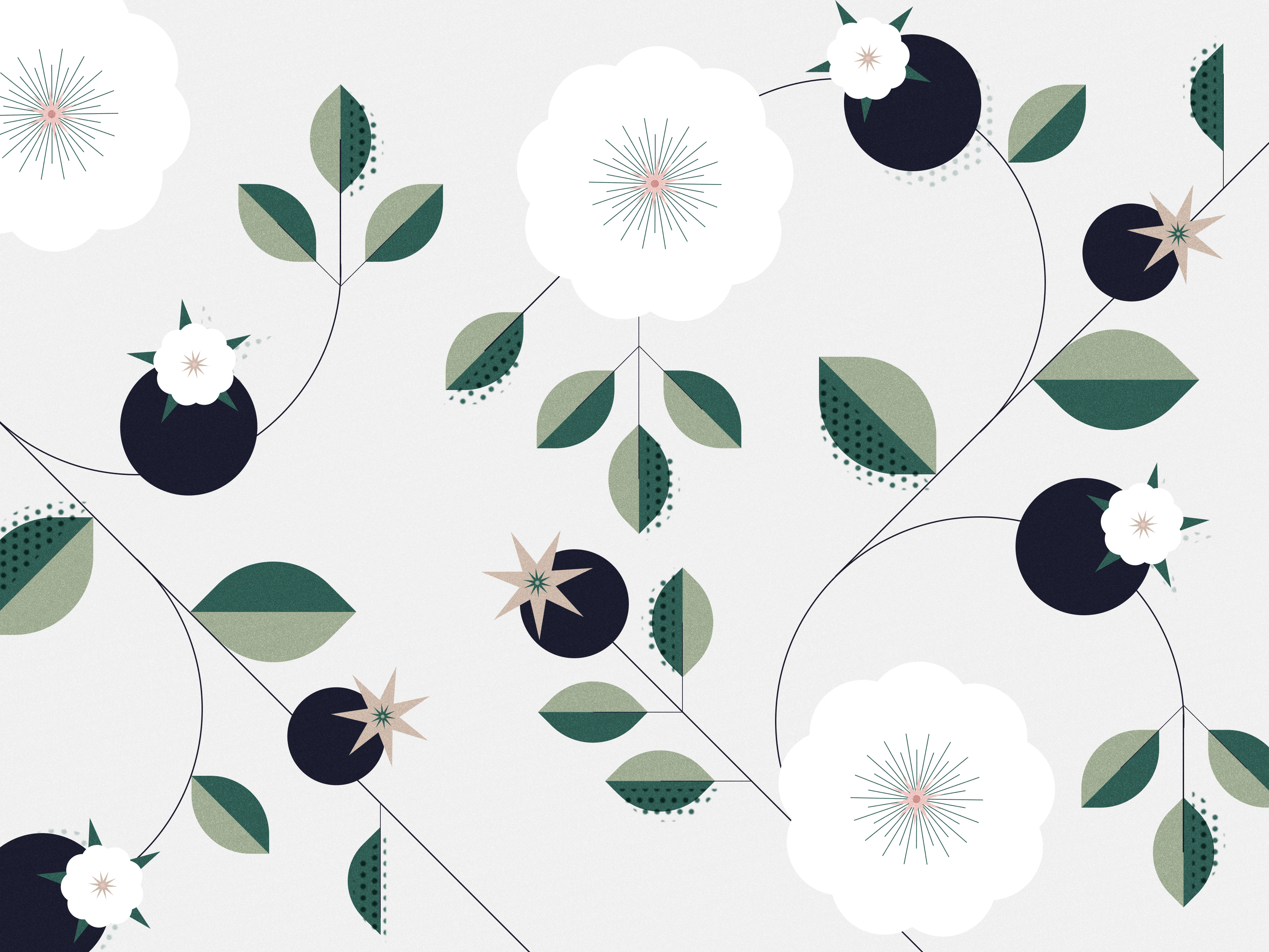 Example of Illustrazioni