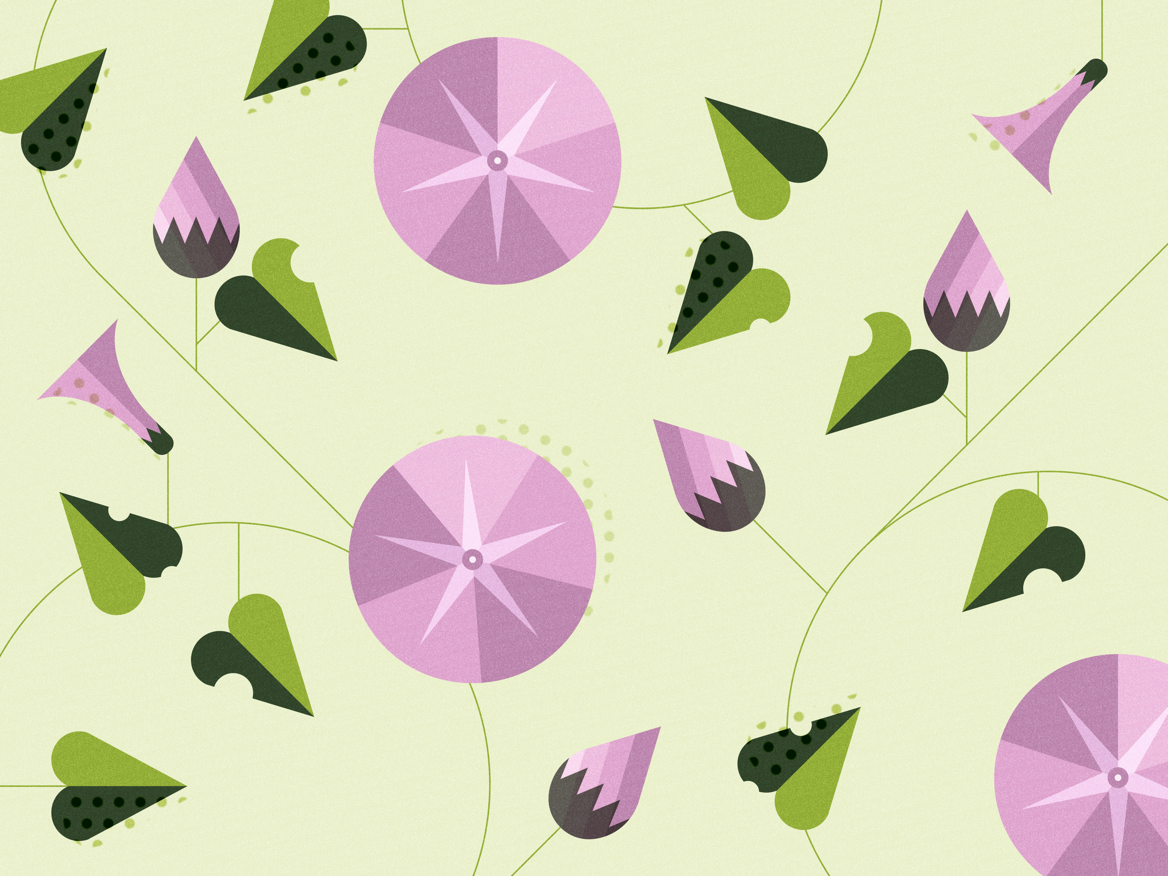 Spring - flowers adobe illustrator design flower illustration flowers geometrical design geometrical illustration graphic design illustration spring vector vector illustration