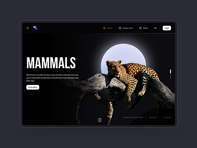 Get Animal Education animal animation branding dark education figma graphic inspiration intrection kids motion graphics ui ux uxui vector