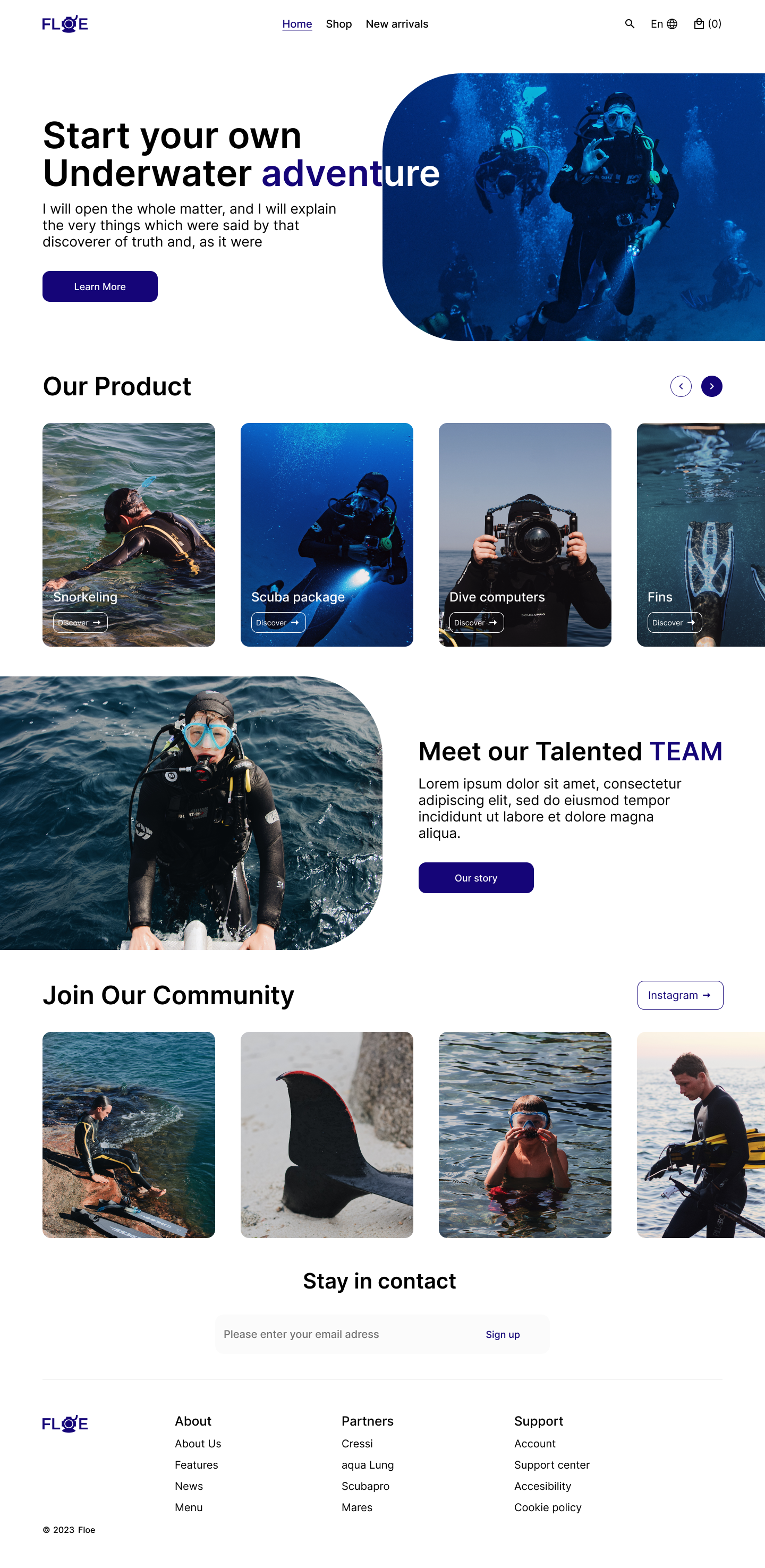 Swimming gear landing page (Floe) branding cards design dribble interface landing page logo swimming swimming gear tab ui uiuxdesign ux web webdesign webpage website