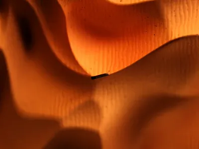 X Logo Animation 3d animation b3d blender desert design environment graphic design lighting logo material motion graphics render texture x