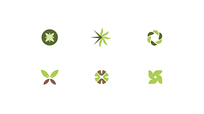 Botanical LOGO Explorations brand branding ecology energy graphic design icon identity infinity leaf logo modern nature plant seed sun sustainability wood