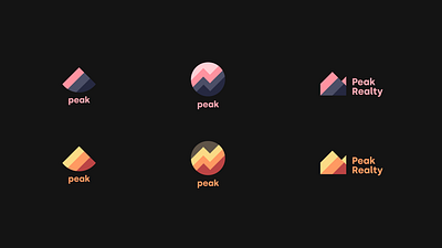 Peak Realty Client Concepts brand design clean identity logo mark retro