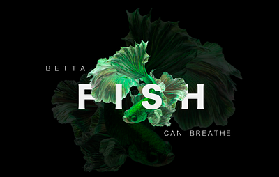 Betta 🌊 Breeze 3d graphic design inkscape minimal poster typography ui