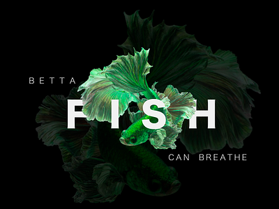 Betta 🐉 Breeze 3d art gimp graphic design minimal poster typography ui