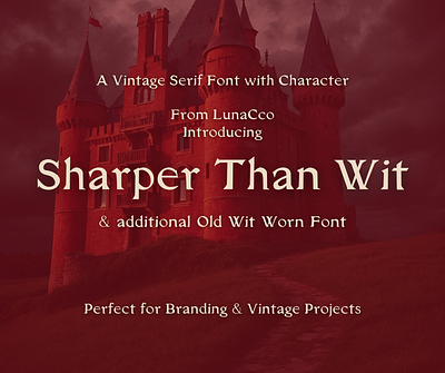 Sharpen Than Wit & Wit Fonts branding font design fonts type face typography