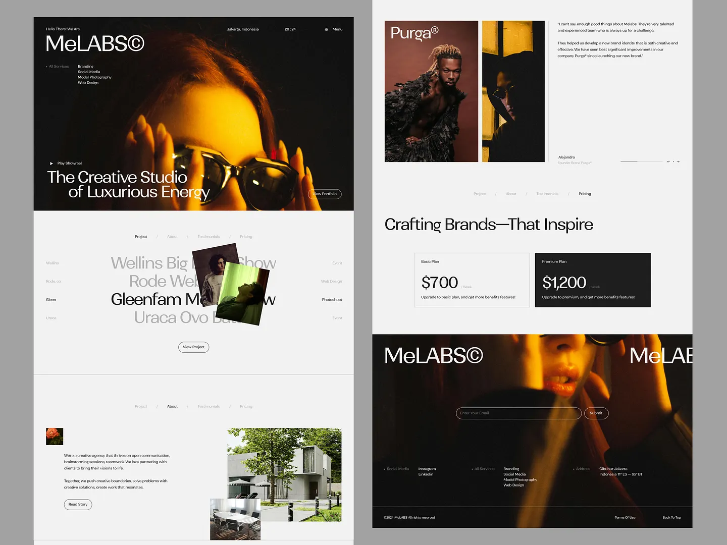 Stunning Studio Website Design: MeLABS©