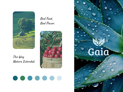 Gaia - Logo & Branding Project brand brand guideline branding branding agency color design graphic design identity logo logodesign monogram rebrand rebranding