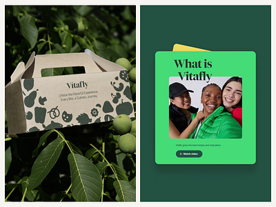 Vitafly Cards Visual Pieces clean diet healthcare motion simple ui voit widgets xandovoit