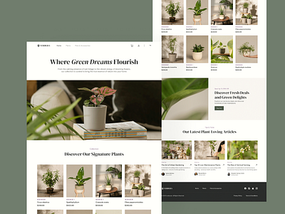 Plant Shop Website Design clean design green homepage interface minimal plant product ui ux web web design website