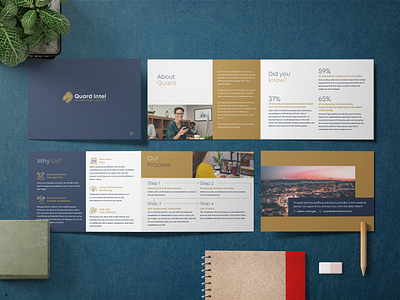 Company Portfolio for Quard Intel designportfolio.