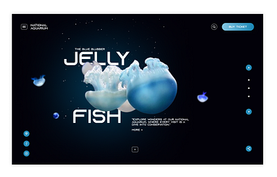 National Aquarium Website Design: Dive into Discovery animation branding design figmma graphic design landingpage ui uidesign web webdesign