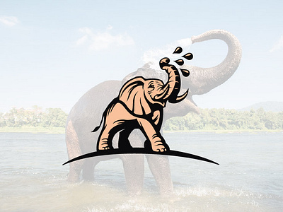 Elephant Wash Logo africa animal logo clean logo creative logo elephant clean logo elephant logo elephant wash logo elephantart elephantlove elephantlovers kerala logo logo designs logodesign logos nature logo naturephotography savetheelephants travel wash logo