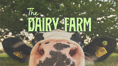 Visual Identity (Branding) Design - The Dairy Farm brand identity branding graphic design visual identity