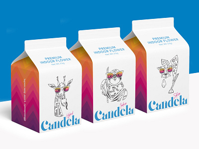 Candela Flower Cartons branding cannabis design dieline graphic design illustration logo milk carton package design packaging packaging design product typography vector