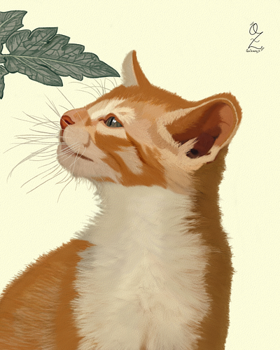 Cat Illustration by Oz Galeano animals art arte cat design dibujo digitalart drawing illustration ozgaleano