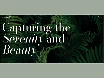 SMOOTHFOLIO smooth ui ux web design web development