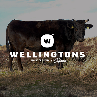 Wellingtons Identity beef branding identity lettering lockup logo