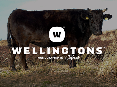 Wellingtons Identity beef branding identity lettering lockup logo