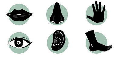 Human Senses Thumbnails (icons) black black and white bw circular ear eye foot green hand human icons nose sense thumbnails white