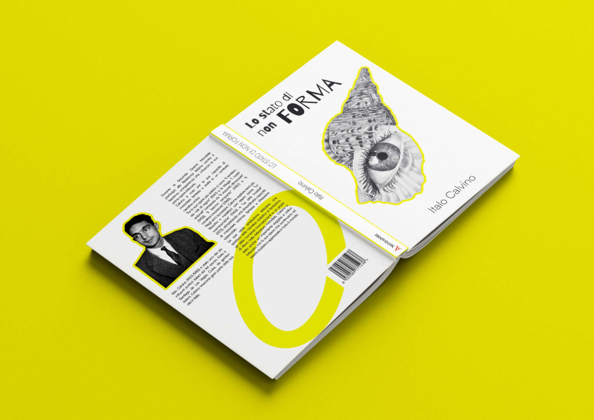 Progetto Borsa di studio Naba bookart bookcover bookidea bookinstagram booklettering bookmanifest bookposter bookpresentation booksocial bookyellow borsa di studio branding graphic design ied illustration italo calvino matteo manaresi naba scholarship shell