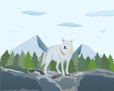 Wandering Wolf Illustration design digitalart forest graphic design illustration minimal mountain wolf