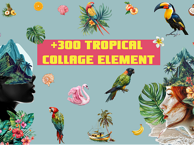 Tropical Collage Creator 300+ collage collage art collage creator collage elements graphic graphic design summer topical pattern tropical tropical animal tropical birds tropical collage tropical elemetns tropical flower tropical food tropical jungle tropical leaves tropical mountain tropical plant tropical tree