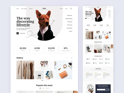Fashion app dashboard homepage inspiration ios iphone modern ui website