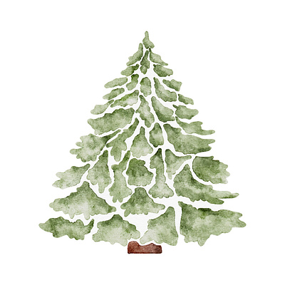 watercolor fir fir