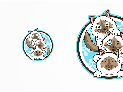 Miauw behance cat design dribble icon illustration logo logoroom logos logoshift