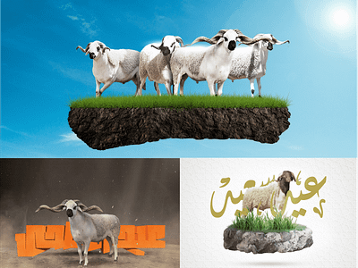 eid adha typography, Moroccan Sheep Designs calligraphy calligraphy and lettering artist eid eid adha 2024 eid adha in morocco eid adha mubarak logo typography typography design ui