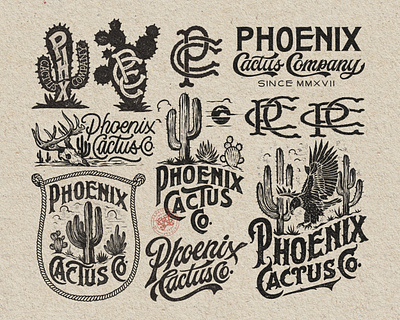 Phoenix Cactus Co. branding company brand logo company branding company logo design graphic design illustration logo typeface ui