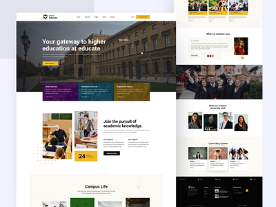 University Admission Website case study cline website education theme education website popular theme popular website study website trending website uiux design virtual campus theme web design website design