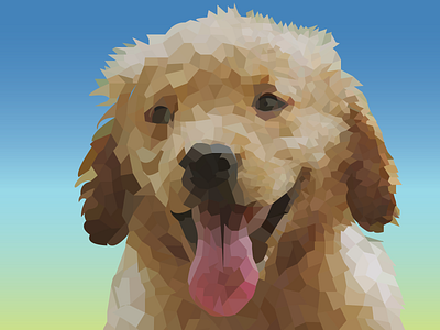 Low Poly Art (dog) animal design dog graphic design illustration low poly lowpoly lowpolyart polygon art