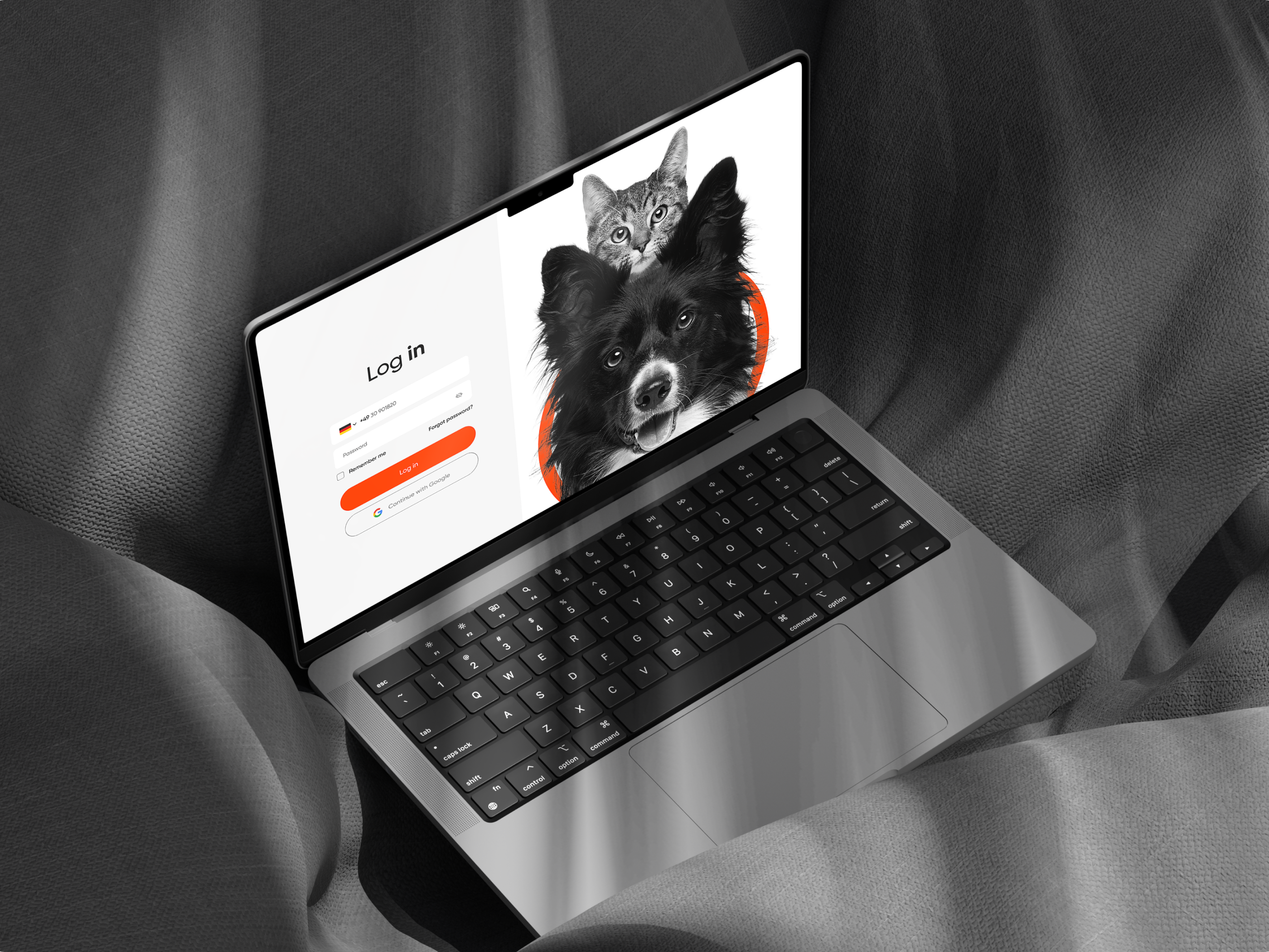 Happy Tail e-commerce branding cats dogs e commerce interface pets petshop web website