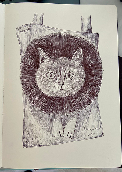 Ballpen Cat 🐈‍⬛ ballpen blackandwhite cat cats design drawing handdrawing illustration ink moleskine parkerpen sketch