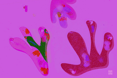 Plant shapes II. 3d animation animation branding design color palette inspirations garden gardening graphic design illustration indoor plants logo design motion design plant plant illustration plants social media marketing