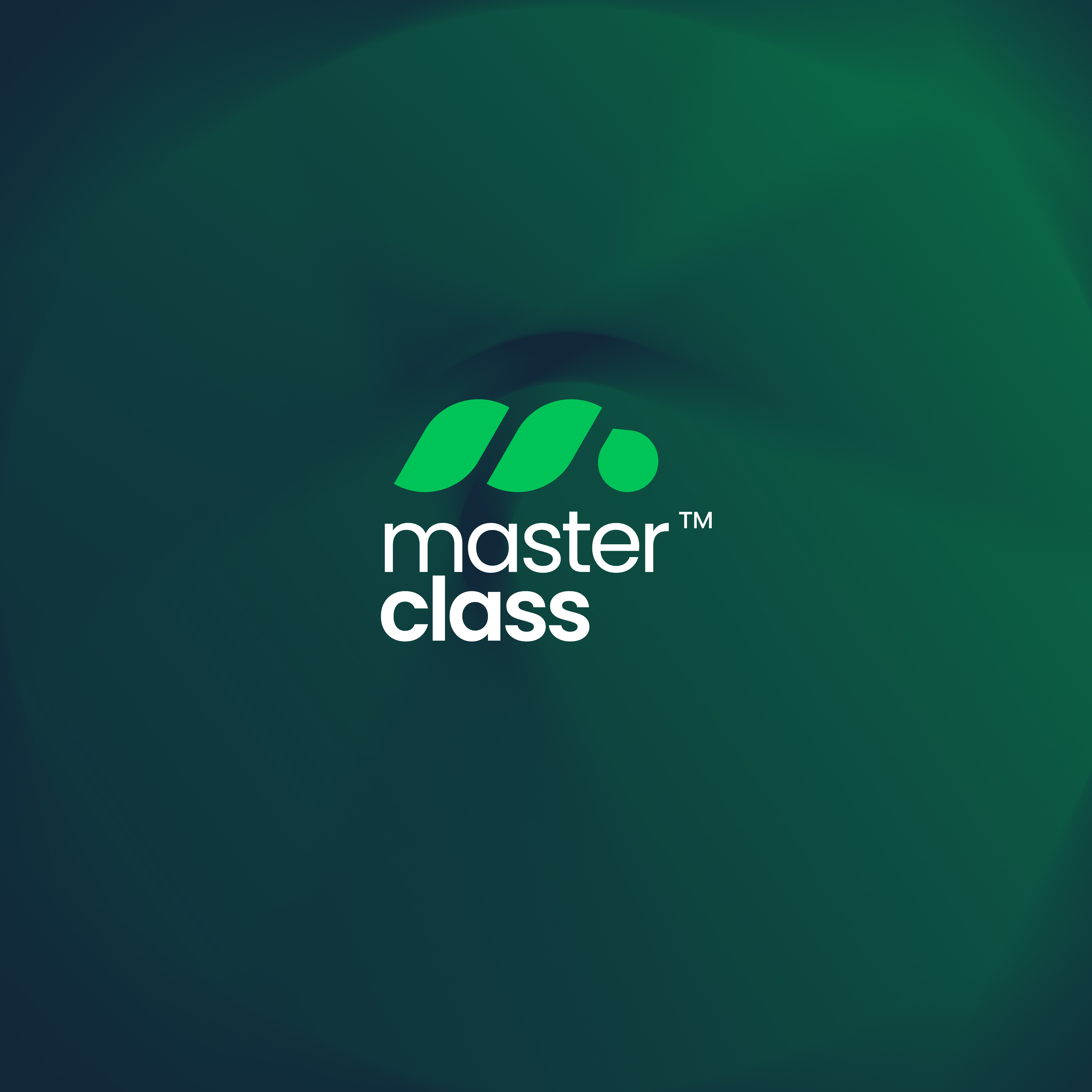 Masterclass Visual Identity 3d branding dribbble graphic graphic design illustration job logo logo design motion graphics type typography ui uiux ux ux design uxdesign wierd work