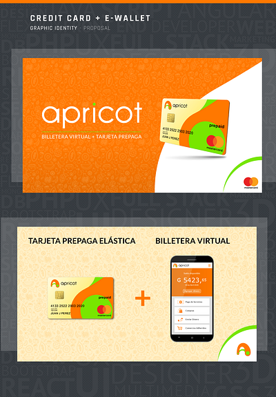Virtual Wallet + Credit Card branding graphic design illustration illustrator logo
